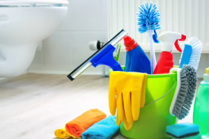 Messie Reinigung Konstanz